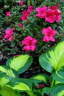 Norman Winter/Norman Winter/TNS