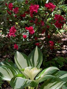 Norman Winter/Norman Winter/TNS