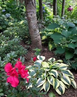 Norman Winter/Norman Winter/TNS