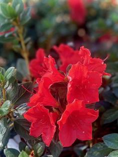 Norman Winter/Norman Winter/TNS