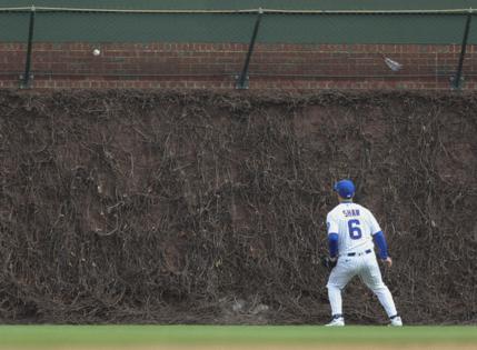 Brian Cassella/Chicago Tribune/TNS