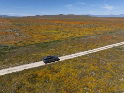 Kayla Bartkowski/Los Angeles Times/TNS