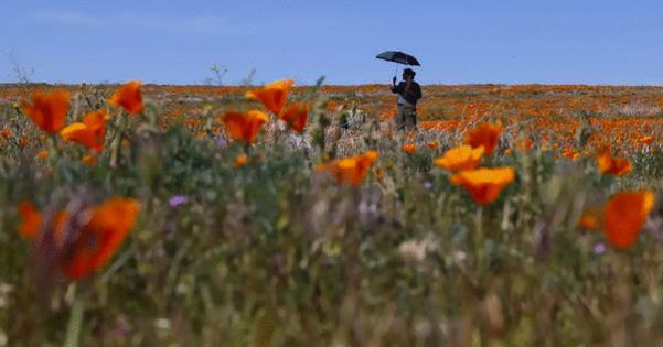 Kayla Bartkowski/Los Angeles Times/TBS