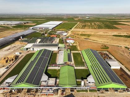 Renewable energy helps drive this farm in Turkey.
Muhammed Enes Yildirim/Anadolu via Getty Images