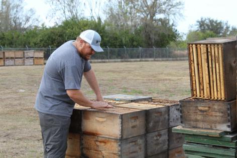 Michaela Mulligan/Tampa Bay Times/TNS