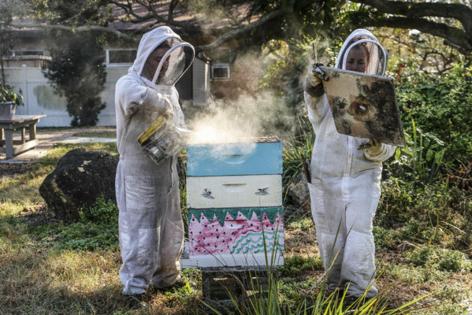 Douglas R. Clifford/Tampa Bay Times/TNS