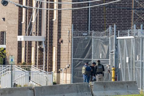 Dominic Di Palermo/Chicago Tribune/TNS