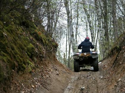 Brian Peterson/The Minnesota Star Tribune/TNS