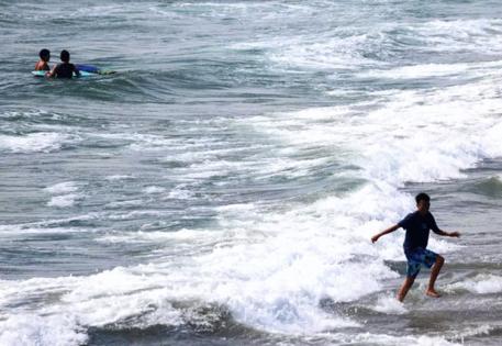 Genaro Molina/Los Angeles Times/TNS