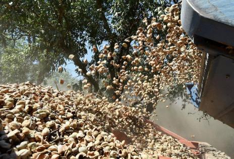 John Walker/Fresno Bee file/Fresno Bee/TNS