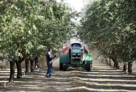 Joan Barnett Lee/Modesto Bee/TNS