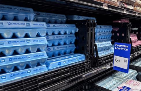 Ronaldo Schemidt/AFP/Getty Images North America/TNS