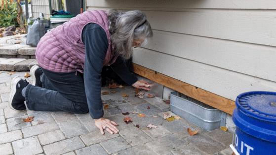 Sarah A. Miller/Idaho Statesman/TNS