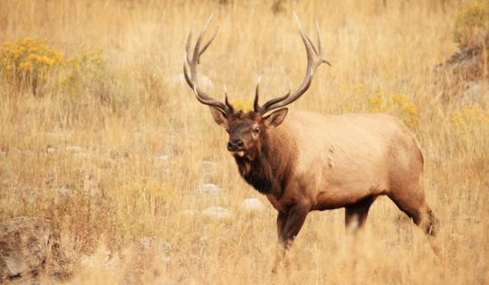 Justin Brewer/Dreamstime/TNS