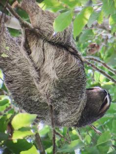 Kathy Witt/Kathy Witt/TNS