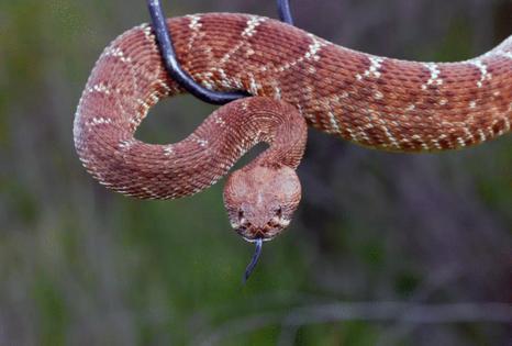 Christina House/Los Angeles Times/TNS