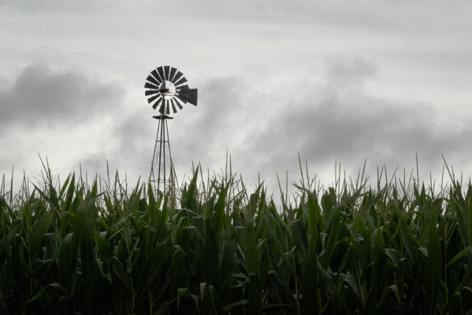 Scott Olson/Getty Images North America/TNS