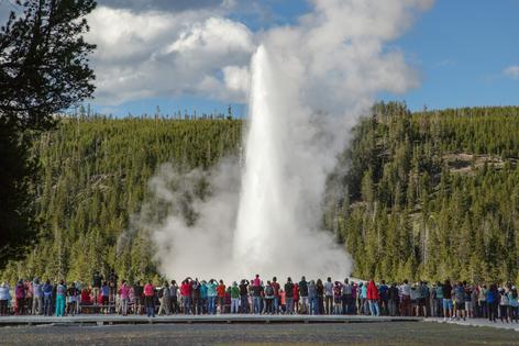 Old Faithful in Yellowstone National Park is a major attraction that many visitors to the park want to witness.
              Neal Herbert/National Park Service