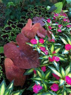 Norman Winter/Norman Winter/TNS