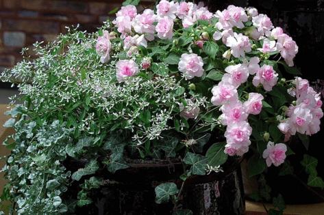 Norman Winter/Norman Winter/TNS