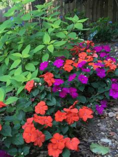 Norman Winter/Norman Winter/TNS