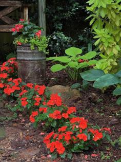 Norman Winter/Norman Winter/TNS