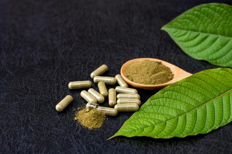 Kratom powder is produced by the plant Mitragyna speciosa. iStock via Getty Images Plus