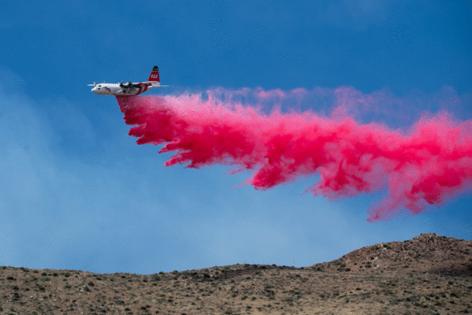 David Crane/Los Angeles Daily News/TNS