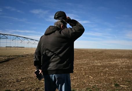 Farmers have hard decisions to make about what crops to plant and how much of each.
RJ Sangosti/MediaNews Group/The Denver Post via Getty Images