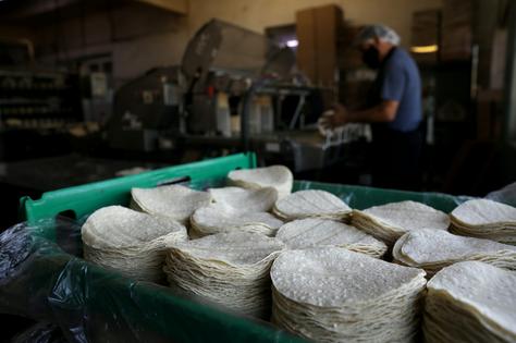Corn tortilla prices rise relatively quickly when corn prices increase.
Christina House/Los Angeles Times via Getty Images