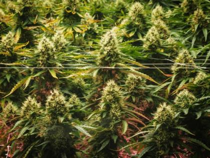 Yasuyoshi Chiba/Getty Images North America/TNS