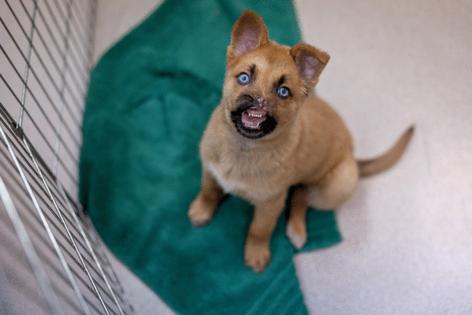 Eric Thayer/Los Angeles Times/TNS