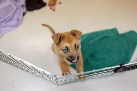 Eric Thayer/Los Angeles Times/TNS