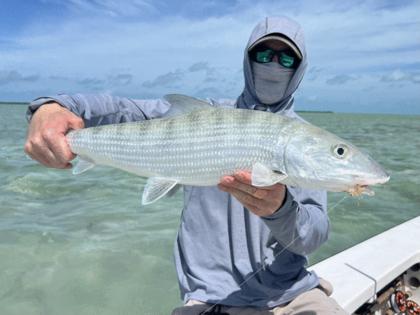 Dennis Anderson/Minnesota Star Tribune/TNS