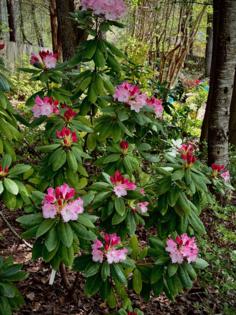 Norman Winter/Norman Winter/TNS