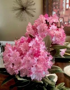 Norman Winter/Norman Winter/TNS