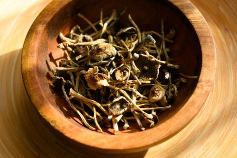 Psilocybin mushrooms contain numerous chemical compounds that researchers have not yet studied. Smitt/iStock via Getty Images Plus