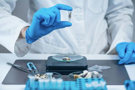 Psilocybin research is in its infancy, but the market for it is booming.
              Microgen Images/Science Photo Library via Getty Images