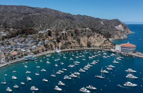 Los Angeles Times/Los Angeles Times/TNS