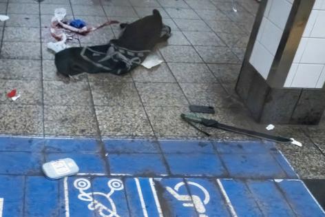 Theodore Parisienne/New York Daily News/TNS