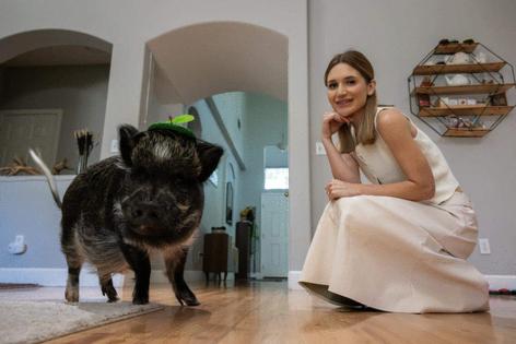 PAUL KITAGAKI JR./The Sacramento Bee/TNS