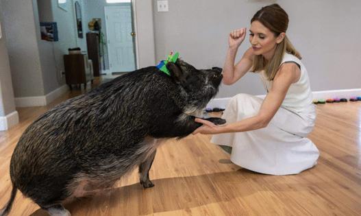 PAUL KITAGAKI JR./The Sacramento Bee/TNS