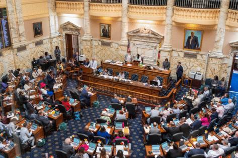 Surya Vaidy/The Baltimore Sun/TNS