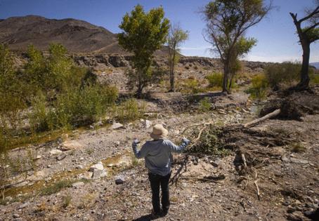 Chase Stevens/Las Vegas Review-Journal/TNS