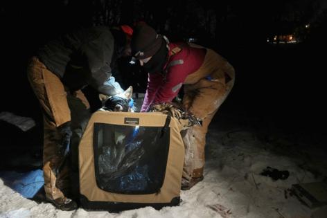 Anthony Soufflé/Minnesota Star Tribune/TNS