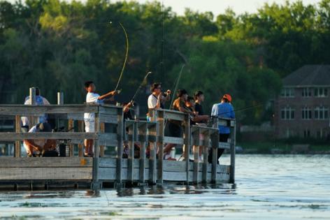 Anthony Souffle/The Minnesota Star Tribune/TNS