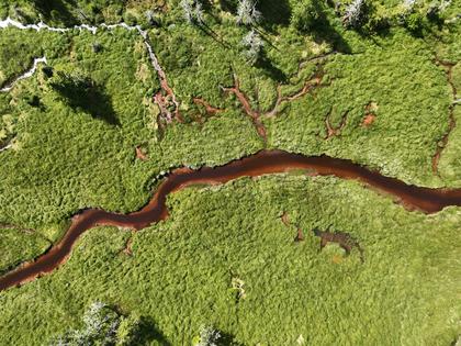 Increased carbon in runoff from land is turning freshwaters darker. Andrew P. Hendry via Flickr