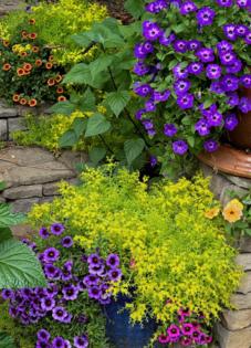 Norman Winter/Norman Winter/TNS