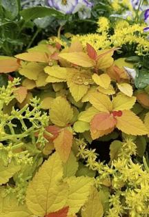 Norman Winter/Norman Winter/TNS