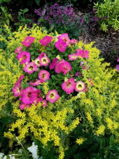 Norman Winter/Norman Winter/TNS